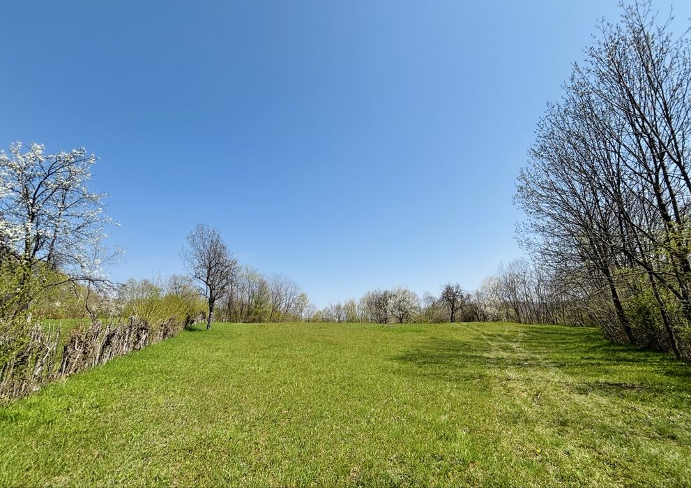 Teren 3.800 mp | Pucioasa, Dâmbovița | Natură, liniște și acces dublu