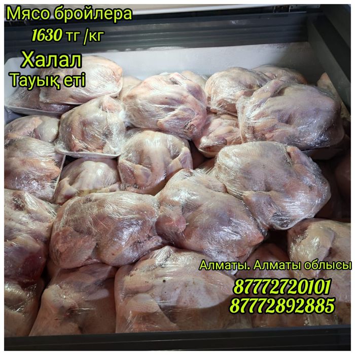 Бройлер еті мясо