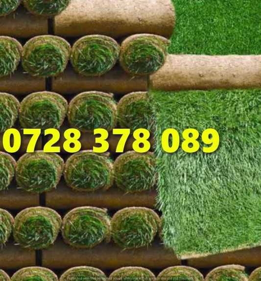 Gazon / Insamantare / Rulouri de Gazon