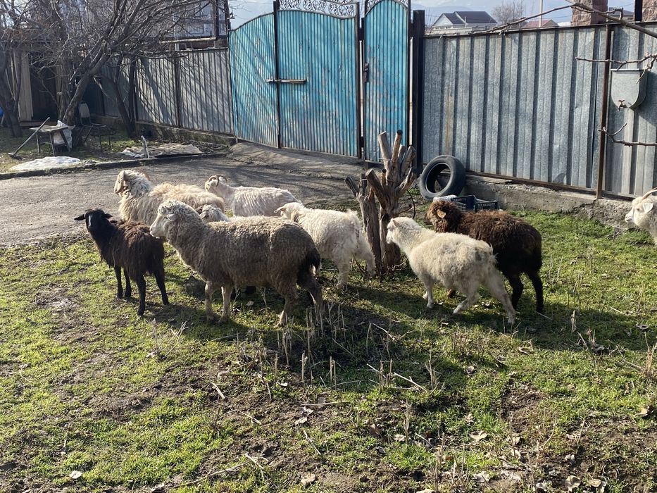 Срочно нужны деньги