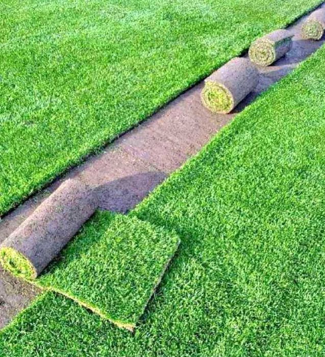 Gazon Rulou Sisteme de Irigare