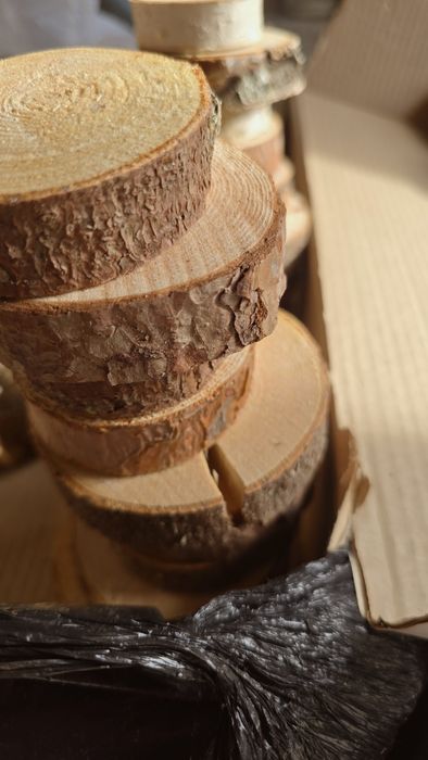 Спил дерева набор 10 шт