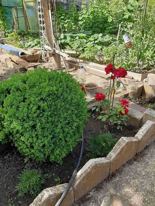 Продава се Къща в Балчик - 100 кв.м за 800 €/кв.м - Снимка #6