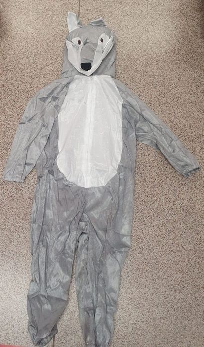 Costume personaje din povesti  pentru copii