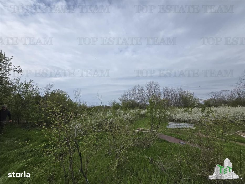 TEREN INTRAVILAN la 20 minute de Bucuresti