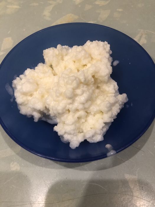 Vand ciuperca kefir lapte