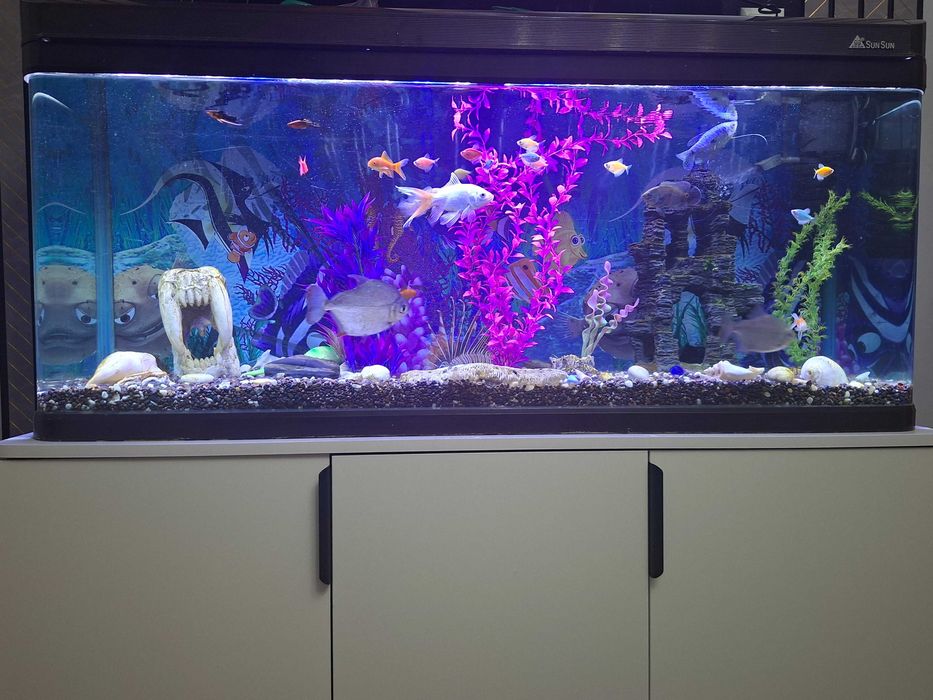 Завадской Аквариумы рыбками