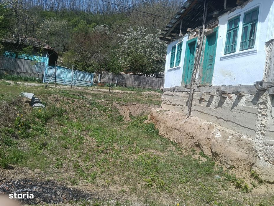 Casa de vacanta