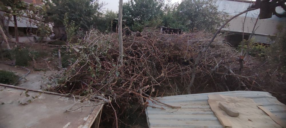 O'tinlar sotiladi kelishilgan holda