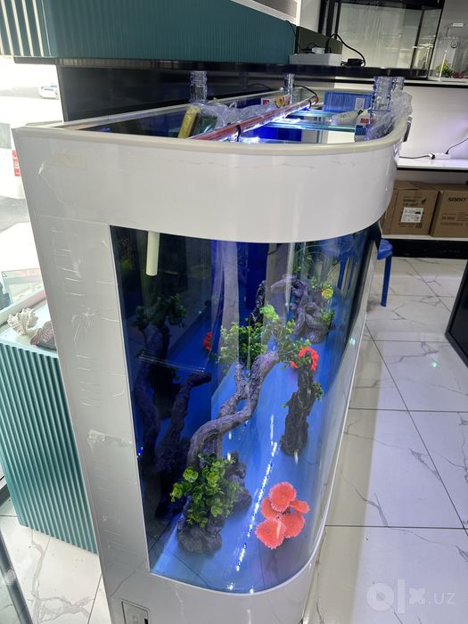 Akvarium 1 tonna Gigant