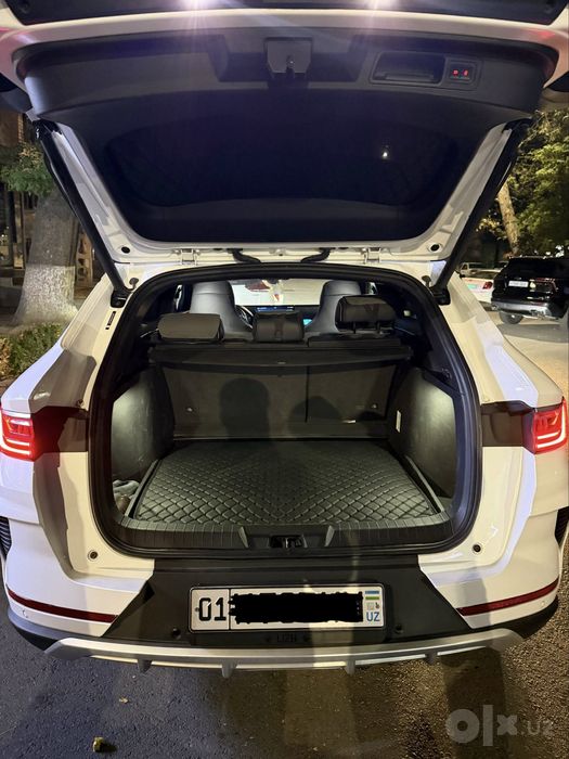 Byd song plus Flagship