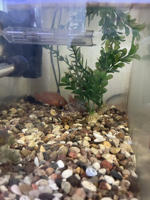 Продам аквариум