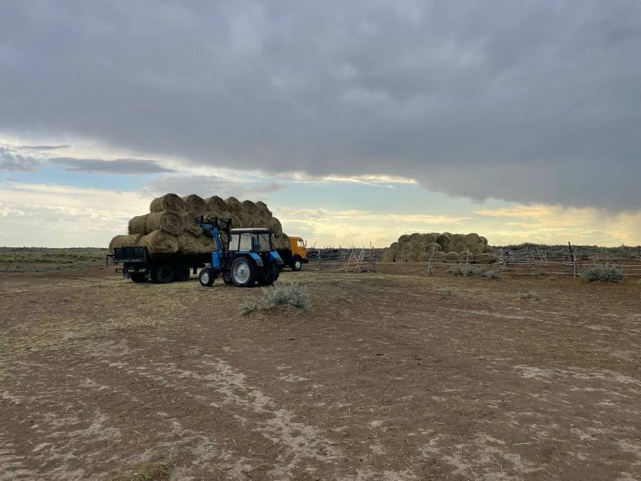 Фазенда / КХ / Ферма