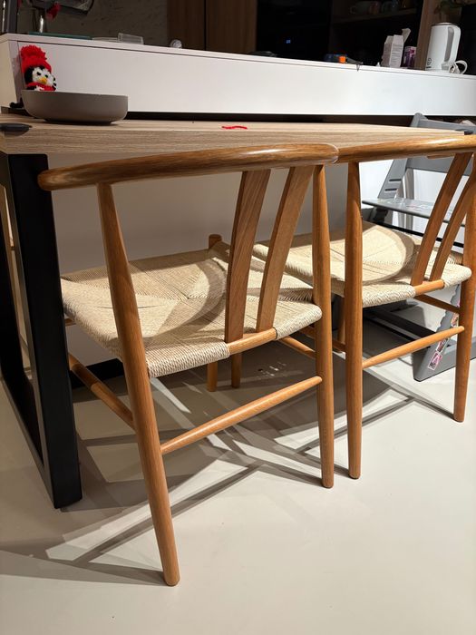 Set 2 scaune wishbone