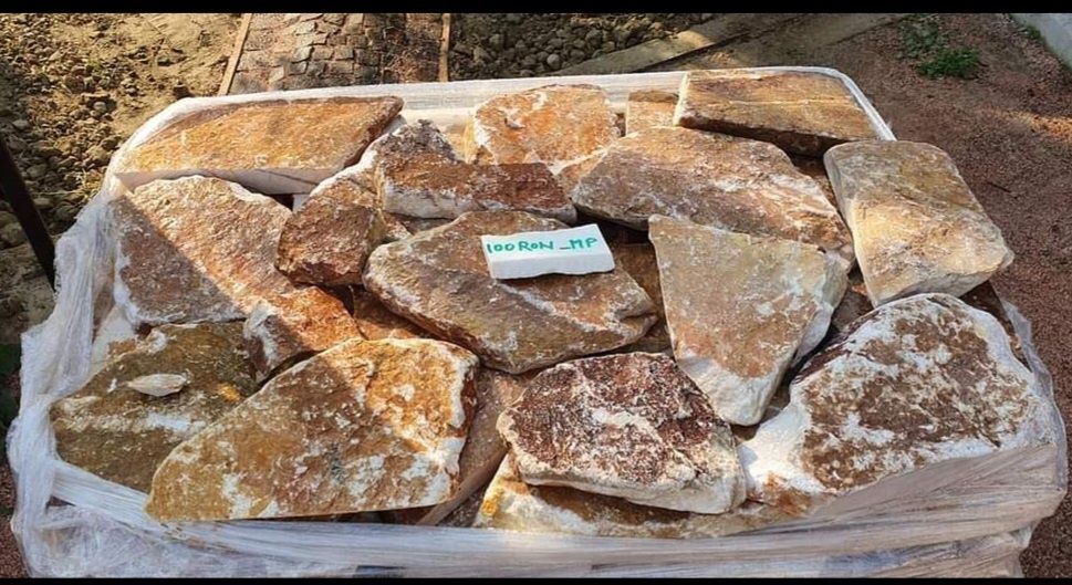 Pasi japonezi ovali gradina piatra naturala gazon