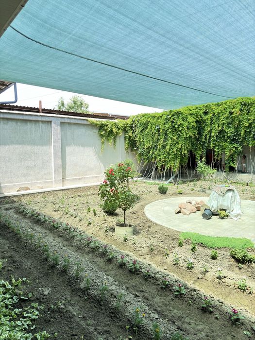 Quyoshdan soya setka ortamiz