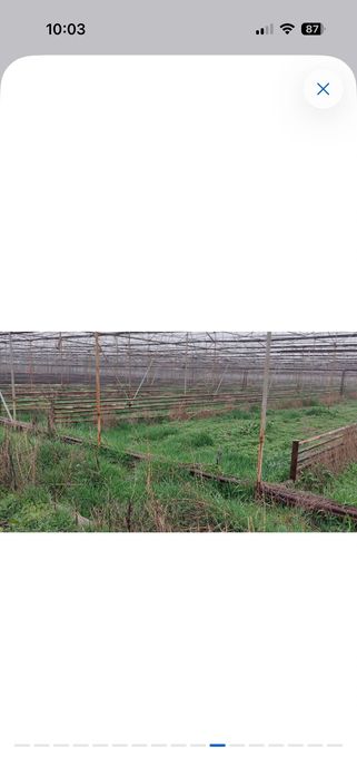 Продается теплица в Кибрае