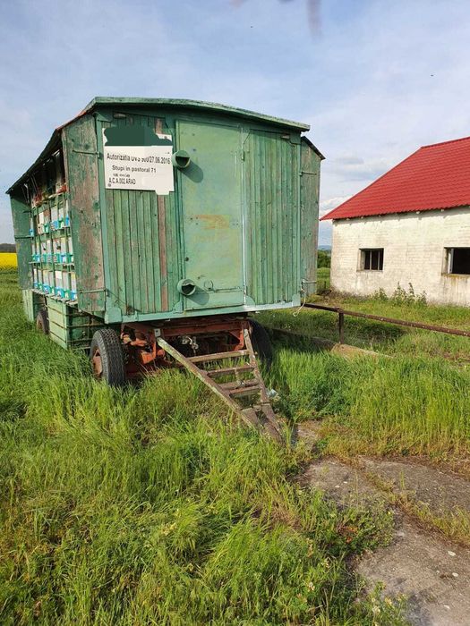 Pavilion albine 35 familii - Arad