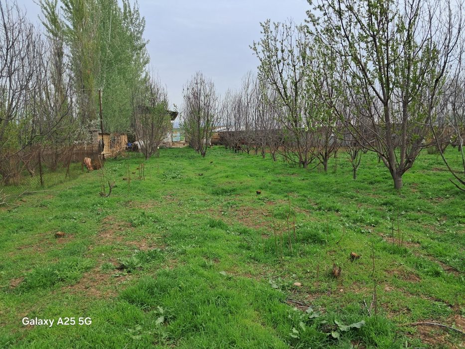 Yer uchaska Sotiladi 18-sotix, yangi Toshkent cheagarasiga 4 km!