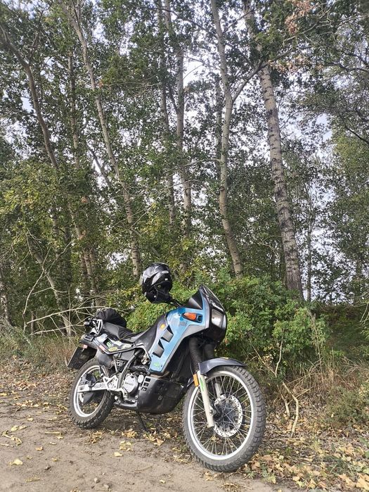 Kawasaki KL650B Tengai