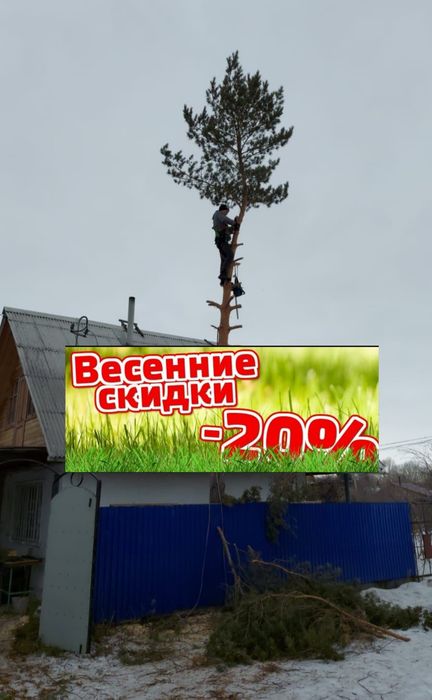 Спил деревьев любой сложности