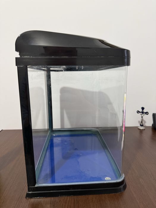 Acvariu pesti Chicos B 231