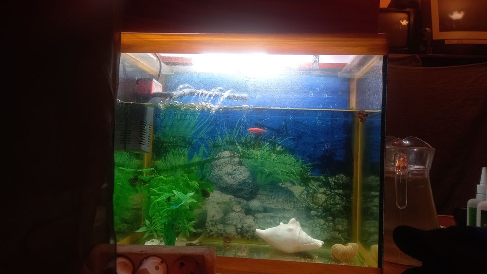 Продам аквариум на 100 л