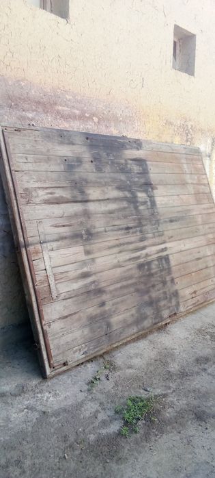 Gazel borti tegi
