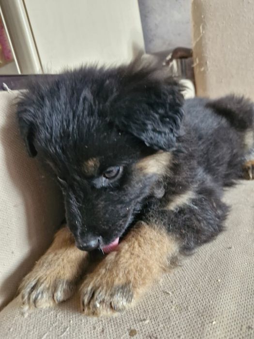 Замечательный мальчик