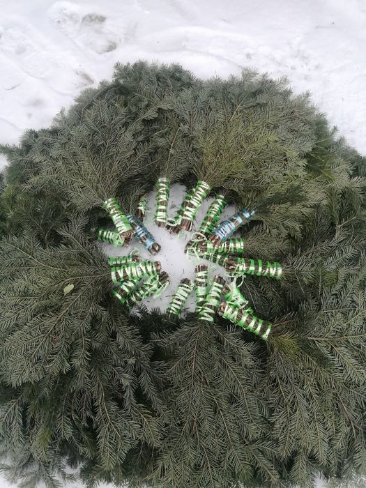 Веники для бани бани