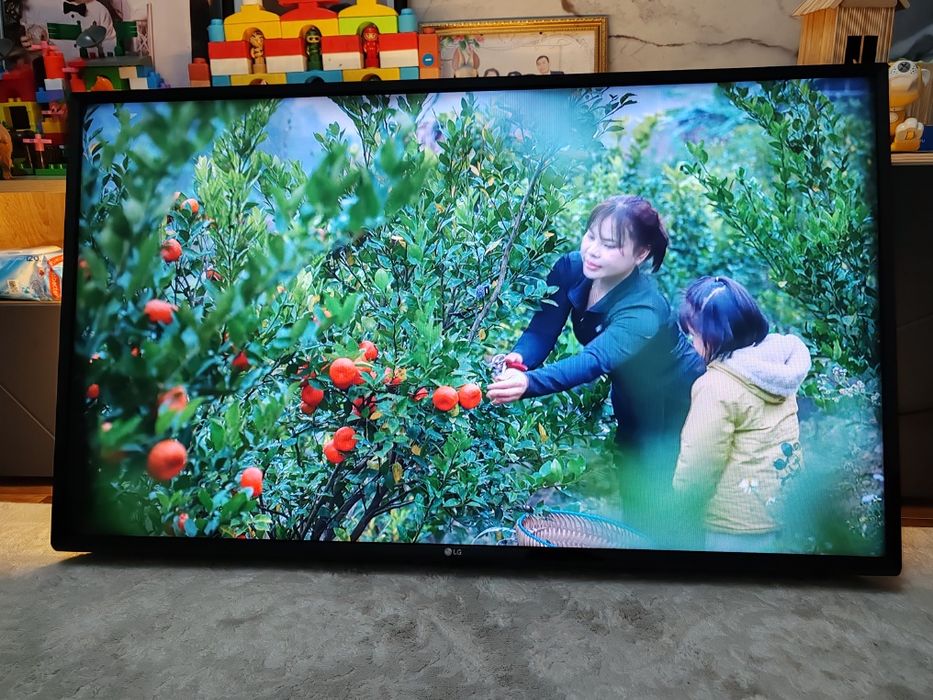 Телевизор  LG,  108диаг.,  43 дьюм