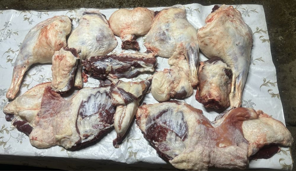 Семіз қой еті сатылады