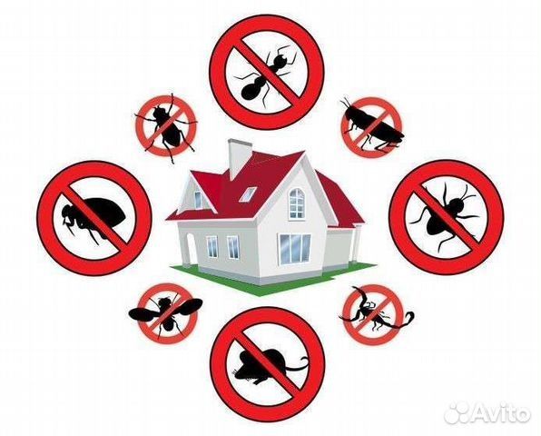 Дезинфекция, дезинсекция, дератизация,дезадарация