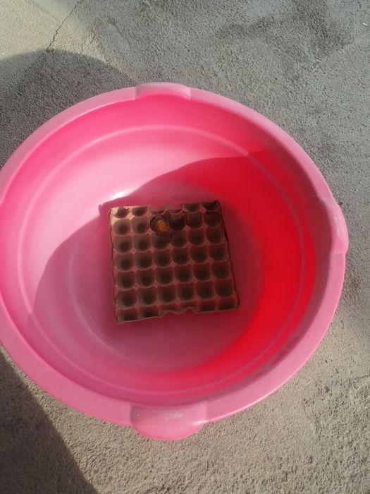 Тазик большой для купания