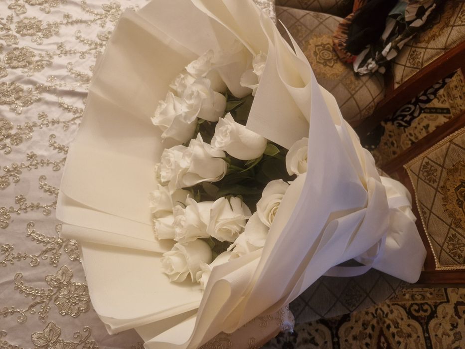 Белый роза бутон голландский