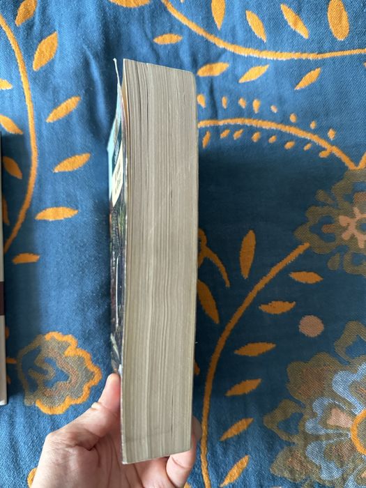 Книга Мельница на Флоссе