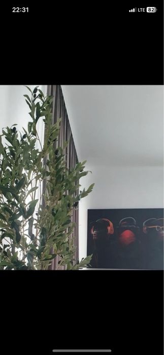 Planta artificiala maslin