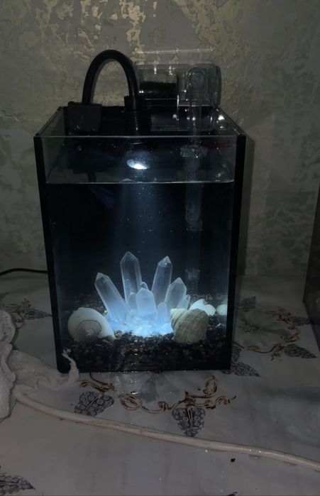 4.5 л Аквариум +Декор+рыб+Фильтр +корм. moonfish.kz Премиум коллекцияи