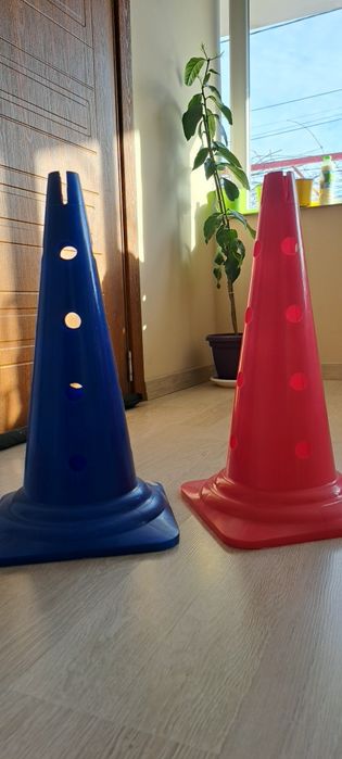 Два Конуса за игра за БДП