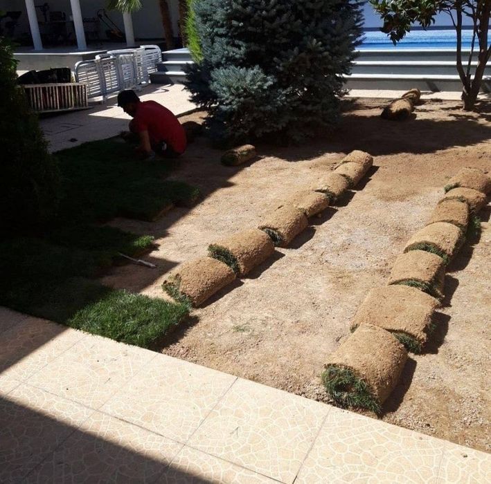 Газон разнога вида