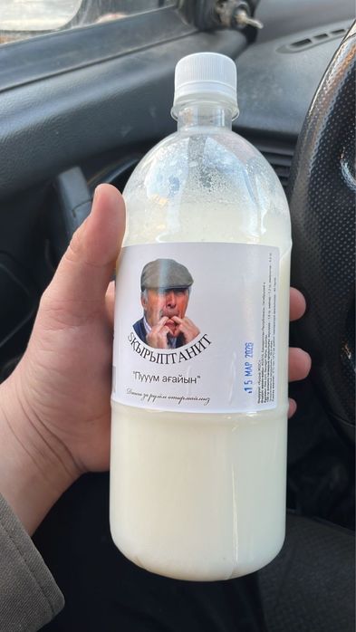 Кымыз Брэнд Скриптонит Кыш