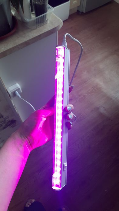 Фитолампа для растений