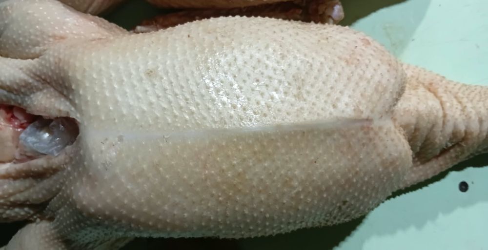 Продам гусей гуси гуся
