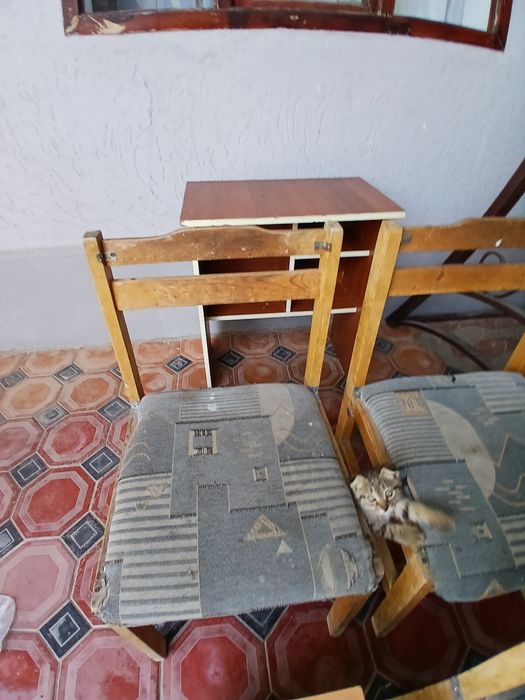 Продаются стулья