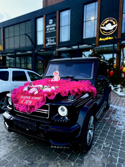 Оформление выписка машина