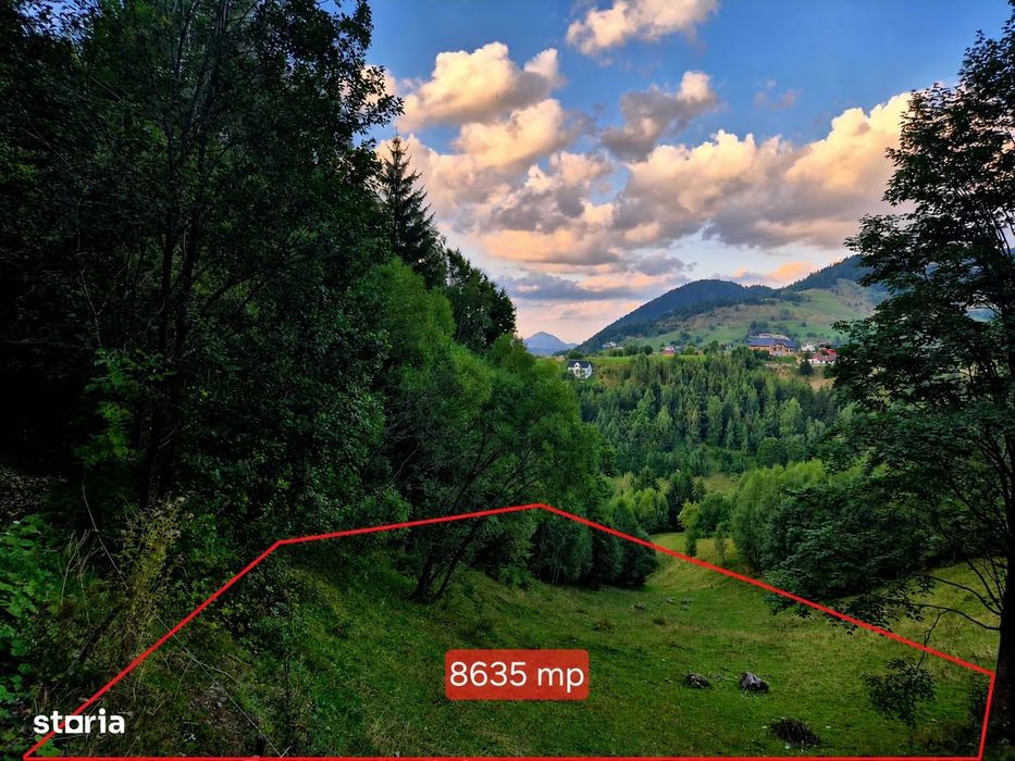 Teren investitie 8635 mp extravilan , Pestera Brasov