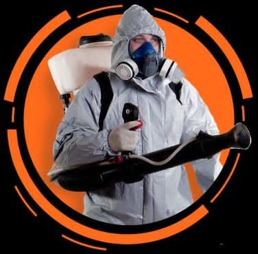 Уничтожение насекомых