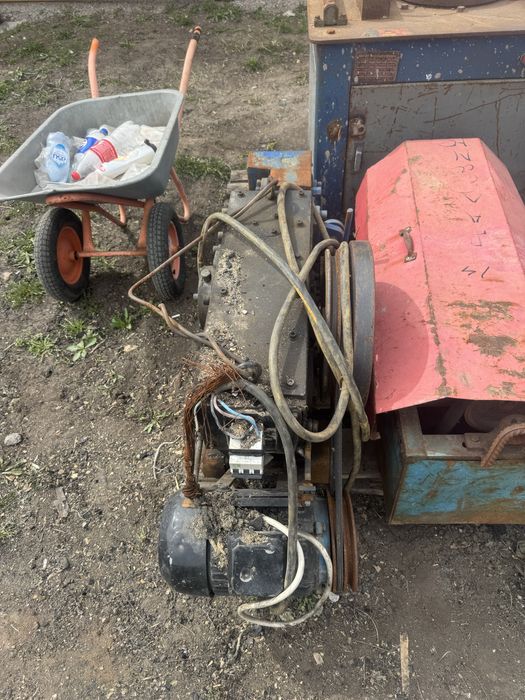 Гелиотина гибочный