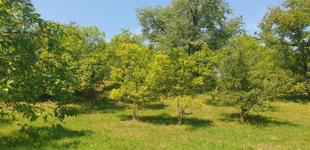 Casa de vânzare Zdrapti, Hunedoara