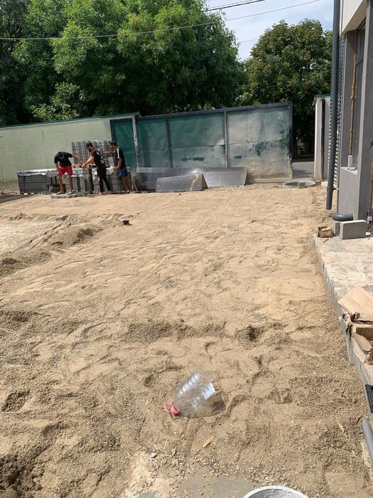 Echipa profesionisti montaj pavaj